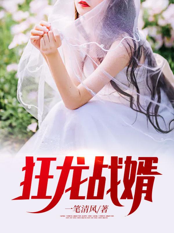 狂龙 战婿