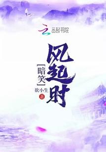 暗笑风起时资源