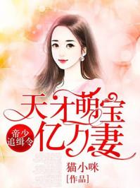 帝少追缉令天才萌宝亿万妻 全本阅读