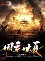 风云大将军百科