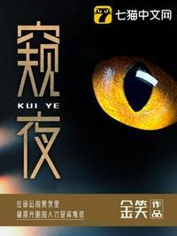 窥探是哪部