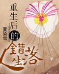 重生后的错落人生讲的什么