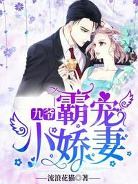 九爷霸宠小娇妻全集在线观看策驰影院