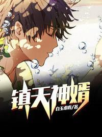镇天神婿陈宁1142章