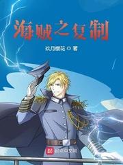 海贼之复制  免费