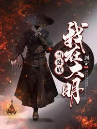 我在大明当国
