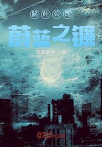 脑叶公司 ce