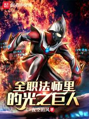 全职法师里的光之巨人不更新了