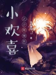 小欢喜之少年情怀最