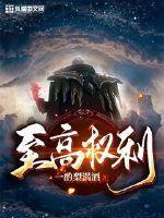 至高权利免费观看