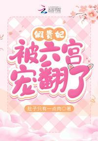 贵妃娘娘又被六宫盛宠了