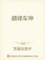 巅峰车神20几阶又能开性能组计分