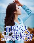 首席大秘免费阅读全文