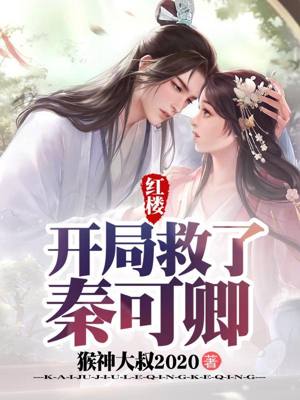 红楼梦之开局