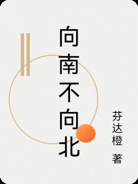 向南朝北什么意思