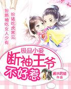 断袖王爷极品男妃