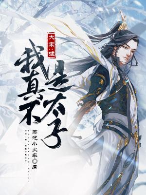 大宋嘘我真不是太子无弹窗