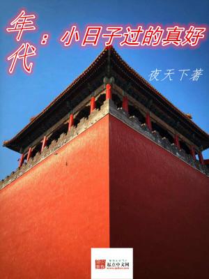 年代小日子过的真好夜天下