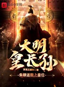 大明皇长孙火火动画