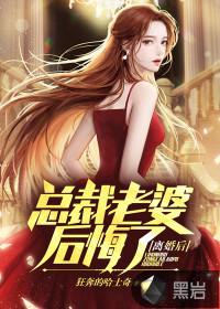 总裁老婆后悔了陆沉