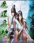 坠落魔道的神