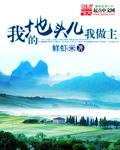 我的地我做主15文章