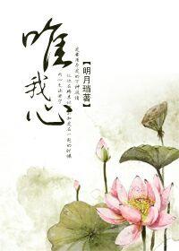 唯我心书版番外124陆湛