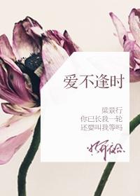 明开夜合哪本最好看