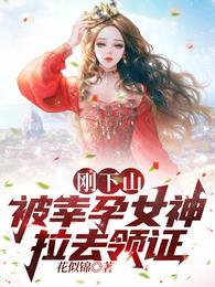 被幸孕女神拉去领证全文