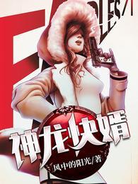 神龙快婿txt全本