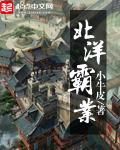 重生之北洋巨擘