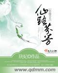 芳华仙路