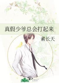 真假少爷总会打起来TXT