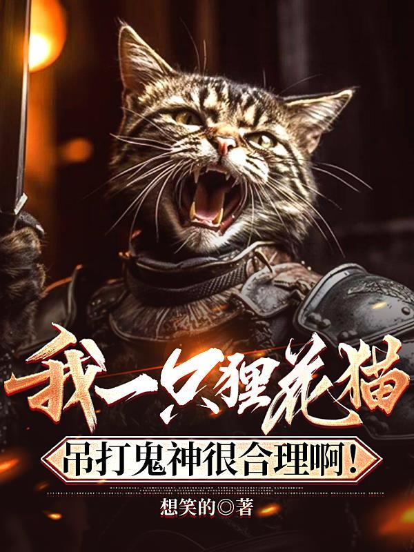狸花猫爱打架吗