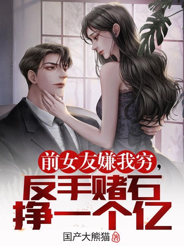 反手赌石挣一个亿杨枫