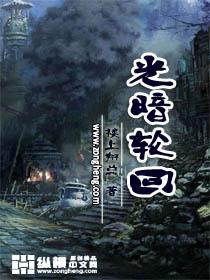 光暗轮回之子