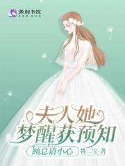 顾总请小心 有声书