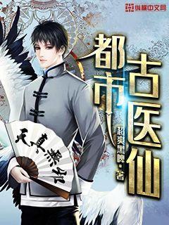 龙门医婿叶凡