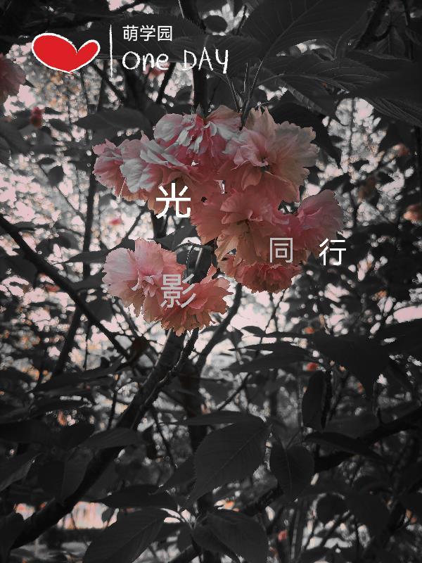 萌学园之光与暗