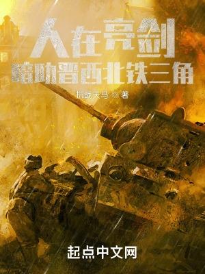暗助晋西北铁三角txt