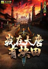 我在大唐有块田txt精校