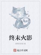 火影忍者终末之谷是第几集