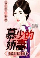史上第一宠婚慕少的娇妻 北川云上锦