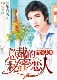 总裁的神秘恋人完整版