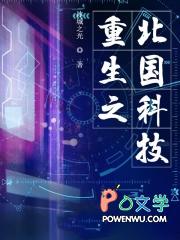 重生之北国科技txt精校