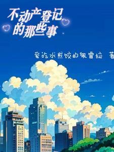 不动产登记存在的问题