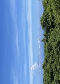 关于青春错过的伤感句子