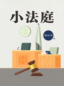 小法庭卖家输了还能申诉么