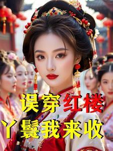穿越红楼前当丫鬟