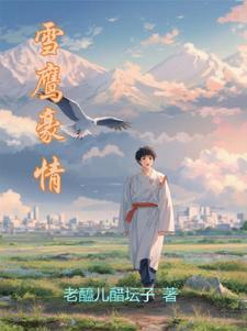 雪鹰20